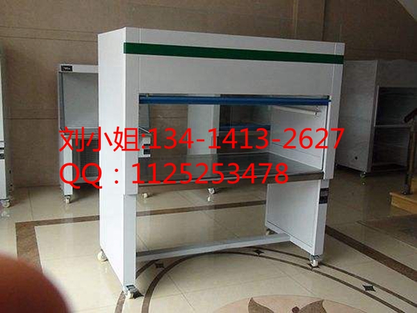 雙人雙面垂直流潔凈工作臺(tái)(圖1)